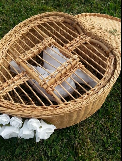 bruidsduiven verhuur