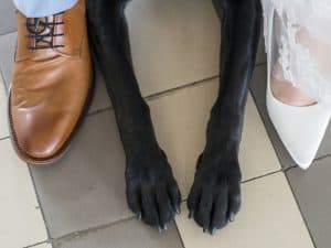 bruidsfotograaf-Leusden-Marcel