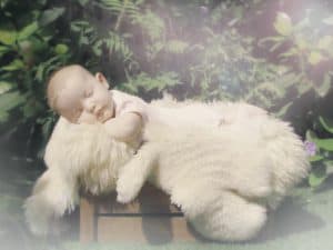 baby-shoot-hilversum